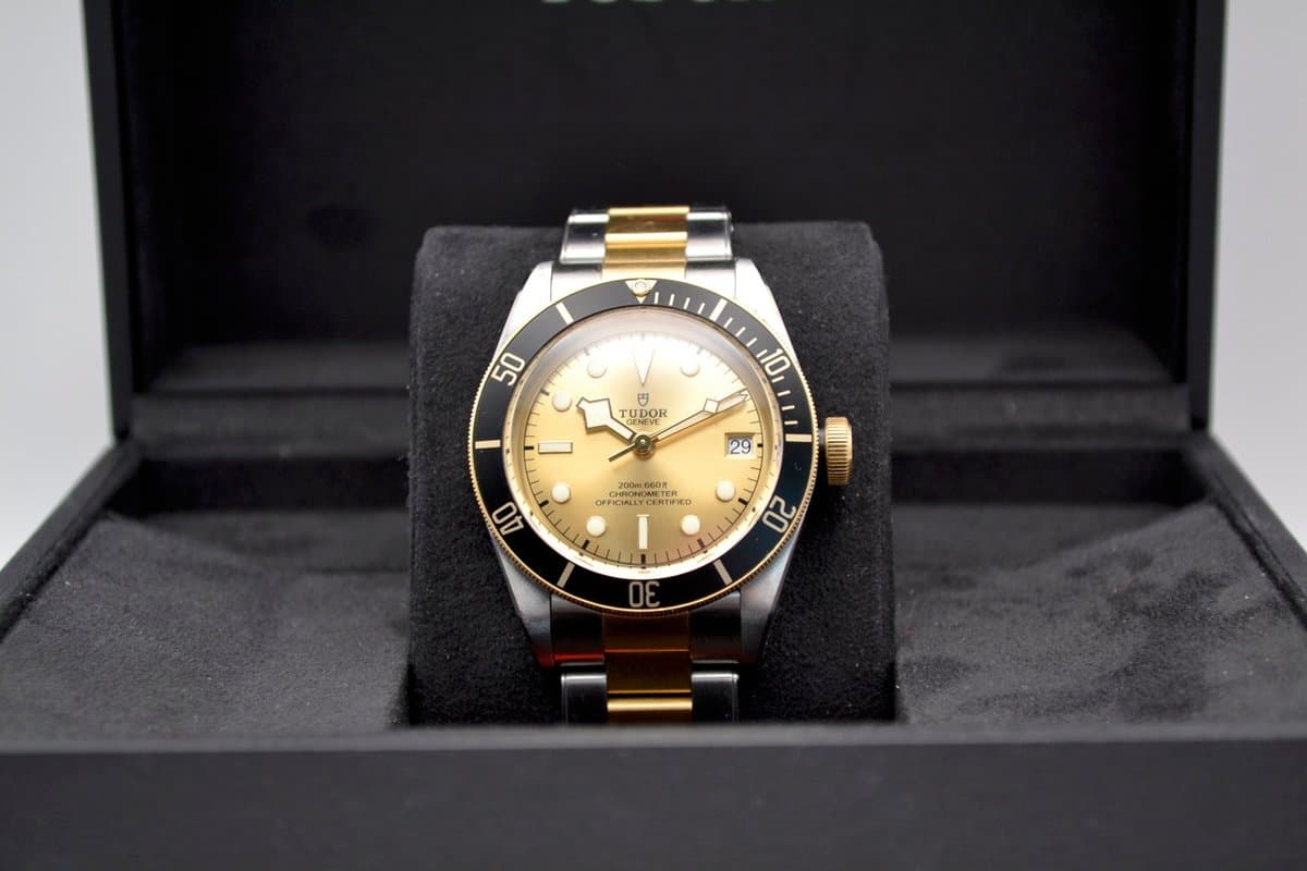 Tudor Black Bay S&G