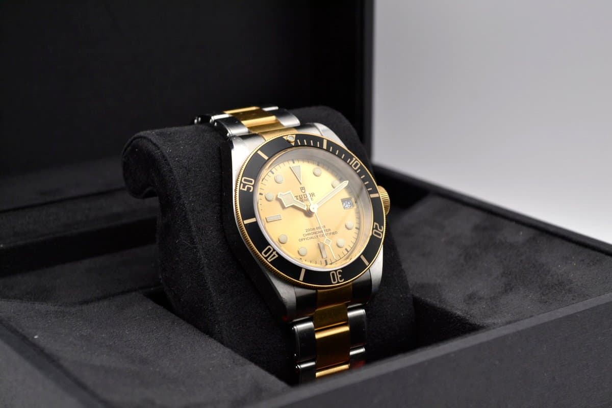 Tudor Black Bay S&G 3