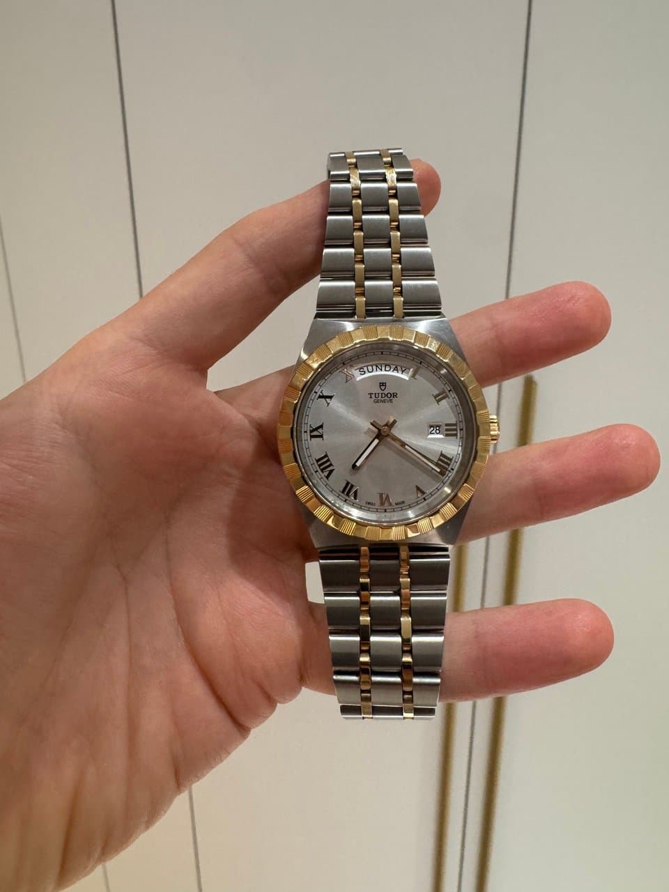 Tudor royal биколор 2